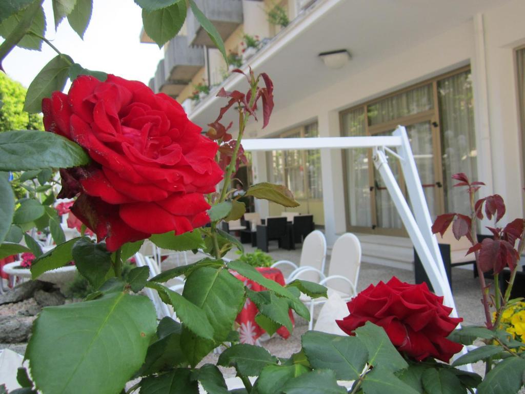 Hotel Garden Bellaria-Igea Marina Eksteriør billede